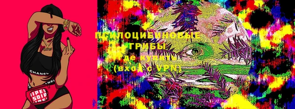 таблы Верея