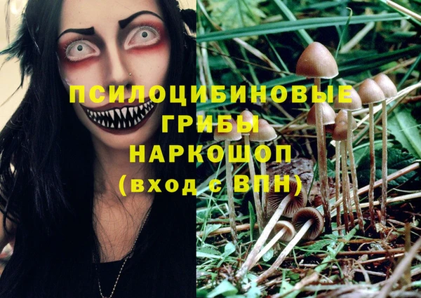 spice Верхний Тагил